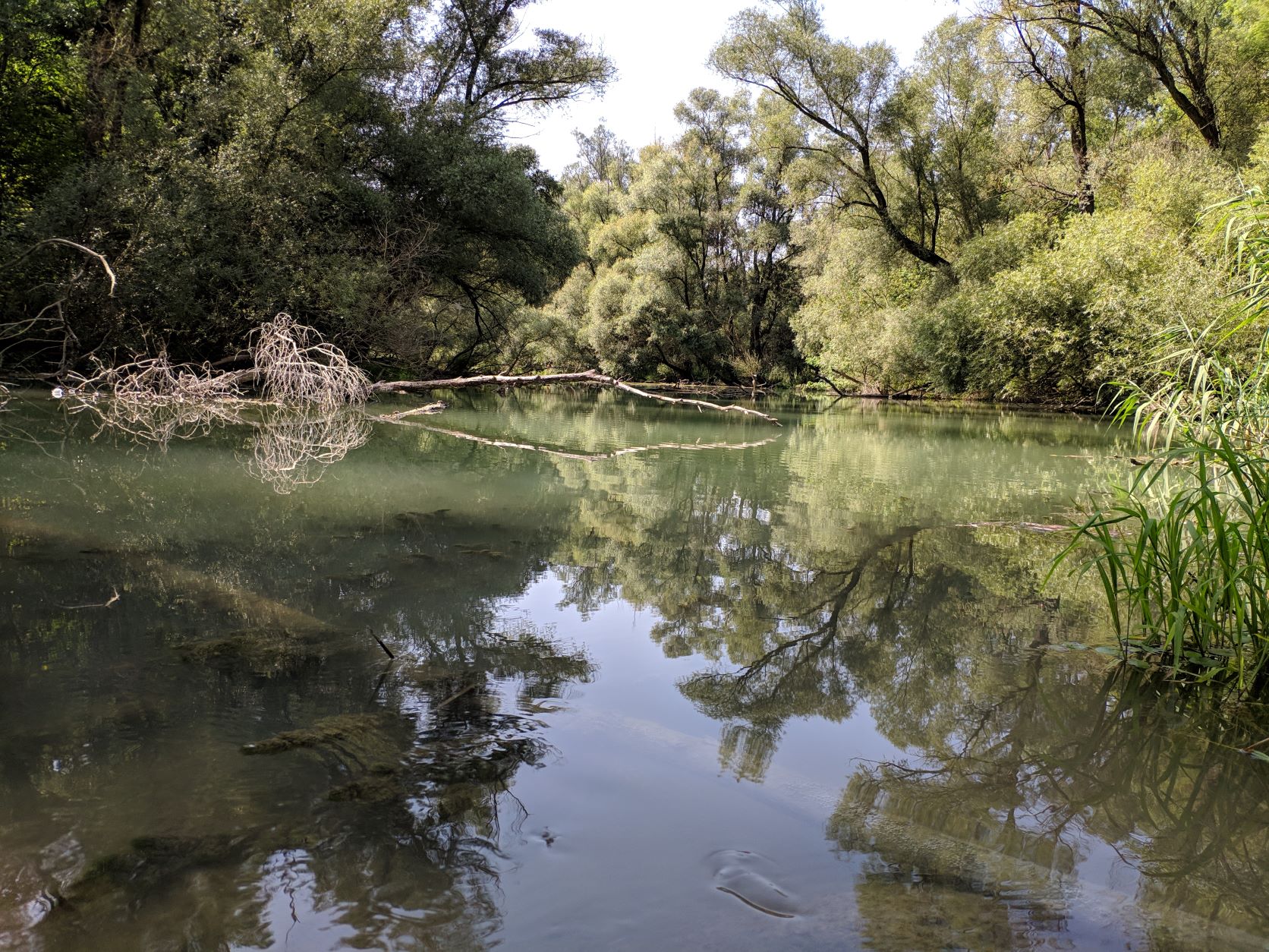 River Danube and side arms